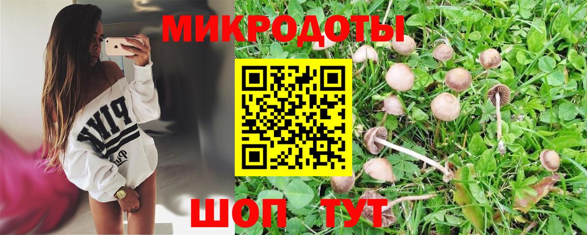 Псилоцибиновые грибы ЛСД  Вход с VPN  Будённовск  купить   Галлюциногенные грибы Psilocybe 