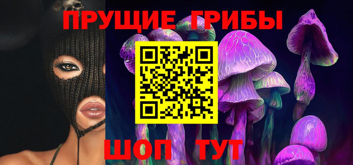 Галлюциногенные грибы Cubensis Будённовск